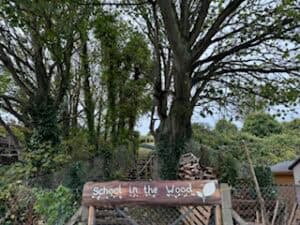 SITW school in the wood