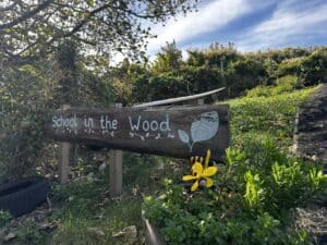 2025 SITW sign with butterflies and sky