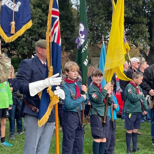 Poppy Day scouts