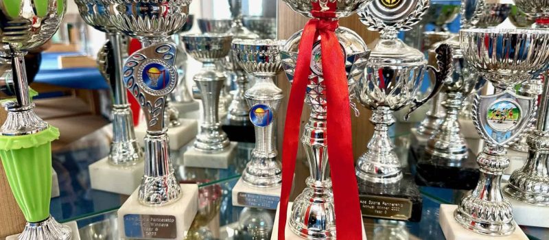 Trophy cabinet 4 best